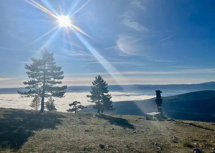 Wilhelm Eichert Huette Oberhoflein